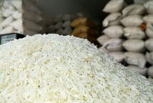 آماری عجیب از دور ریز برنج در کشور؛ روزانه ۸ تُن!