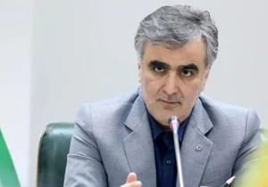 فرزین: اساسنامه صندوق توسعه ملی باید اصلاح‌شود