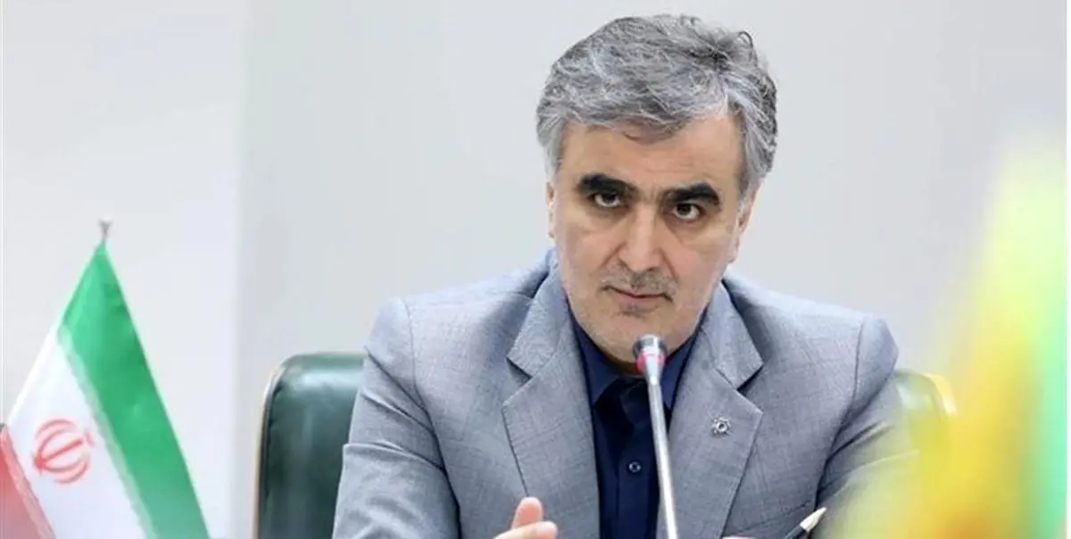 فرزین: اساسنامه صندوق توسعه ملی باید اصلاح‌شود