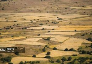 اقدامات جهاد کشاورزی برای مقابله با تنش‌های آبی
