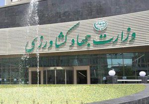 وزیر جهادکشاورزی خواستار اصلاح مصوبه تغییر ساختار این وزارتخانه شد