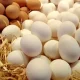 صعود قیمت تخم‌مرغ به ۵۰ هزار تومان در کمتر از یک ماه