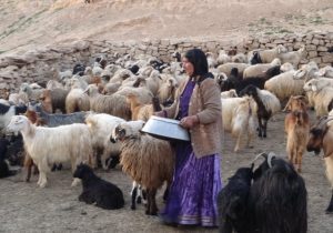 ایجاد ۵۰ هزار کسب‌وکار خرد و ۵۰۰ بازار برای زنان روستایی در دستور کار است