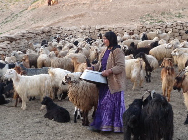 ایجاد ۵۰ هزار کسب‌وکار خرد و ۵۰۰ بازار برای زنان روستایی در دستور کار است