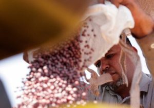 خیز سویاکاران برزیلی برای گرفتن بازار چین