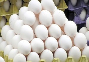 پیشنهاد جدید برای شفافیت در بازار تخم‌مرغ؛ دو نرخ روی هر بسته