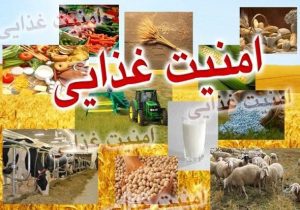 امنیت غذایی در ایران قربانی کور بودن زنجیره تامین