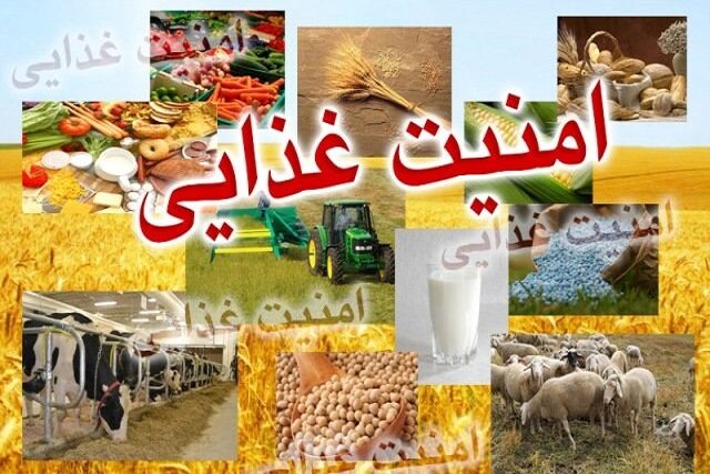 امنیت غذایی در ایران قربانی کور بودن زنجیره تامین
