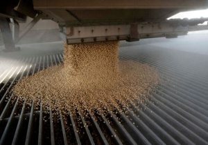 بازار چین جایی برای سویای آمریکا ندارد