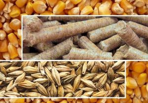 بازارگاه؛ سامانه‌ای برای شفافیت یا دردسر تازه دامداران؟