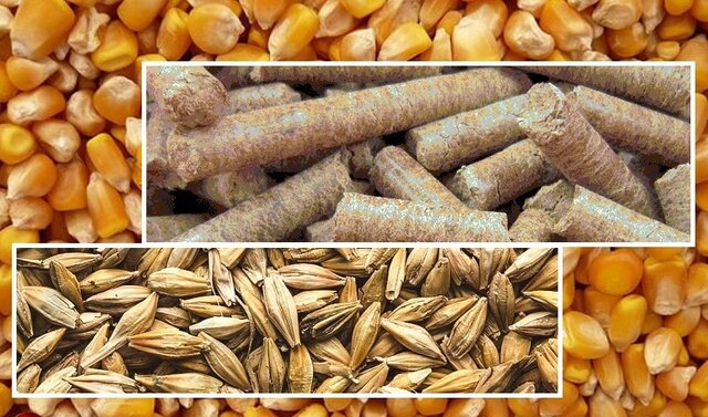 بازارگاه؛ سامانه‌ای برای شفافیت یا دردسر تازه دامداران؟