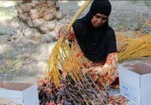 توسعه کسب و کارهای روستایی، با ایجاد زیست بوم روستا