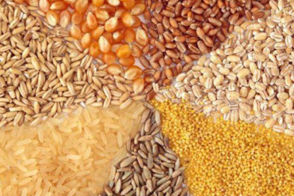 سقف جدید نرخ ارز نهاده‌های دام و طیور اعلام شد