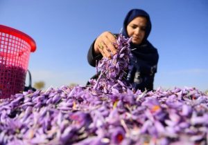 وقتی خشکسالی هم جلوی زنان روستایی را نمی گیرد…