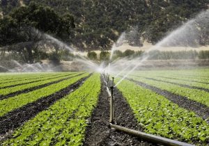 کاهش ۴۰ درصدی مصرف آب با فناورهای نوین آبیاری