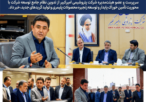 تدوین نظام جامع توسعه پتروشیمی امیرکبیر