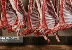 افزایش واردات گوشت قرمز طی روزهای آتی/ کمبودی در ماه رمضان نداریم