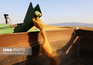 تخلیه و حمل یکسره گندم از کشتی با قطار