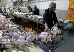 حذف ناگهانی ارز ترجیحی درمان یا شوک ناگهانی به تولید؟!