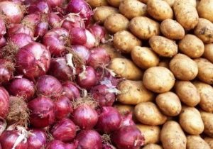 هدفگذاری تولید ۲.۱ میلیون تن گوجه فرنگی، سیب زمینی و پیاز در طرح استمرار
