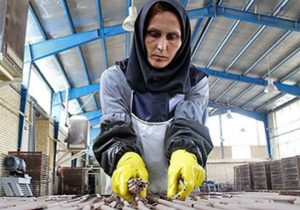 چند درصد نیروهای کار در تهران زن هستند؟