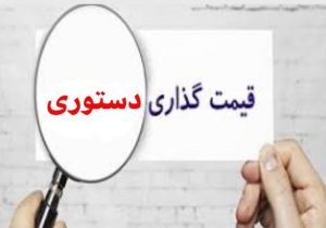 نه قیمت‌گذاری دستوری، نه رهاسازی کامل