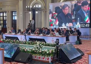 بریکس باید از گفت‌وگو به اقدام عملی برسد